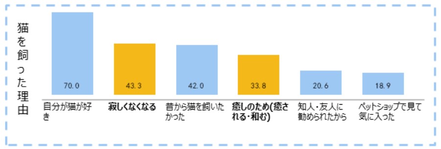 China: Why I Got a Cat